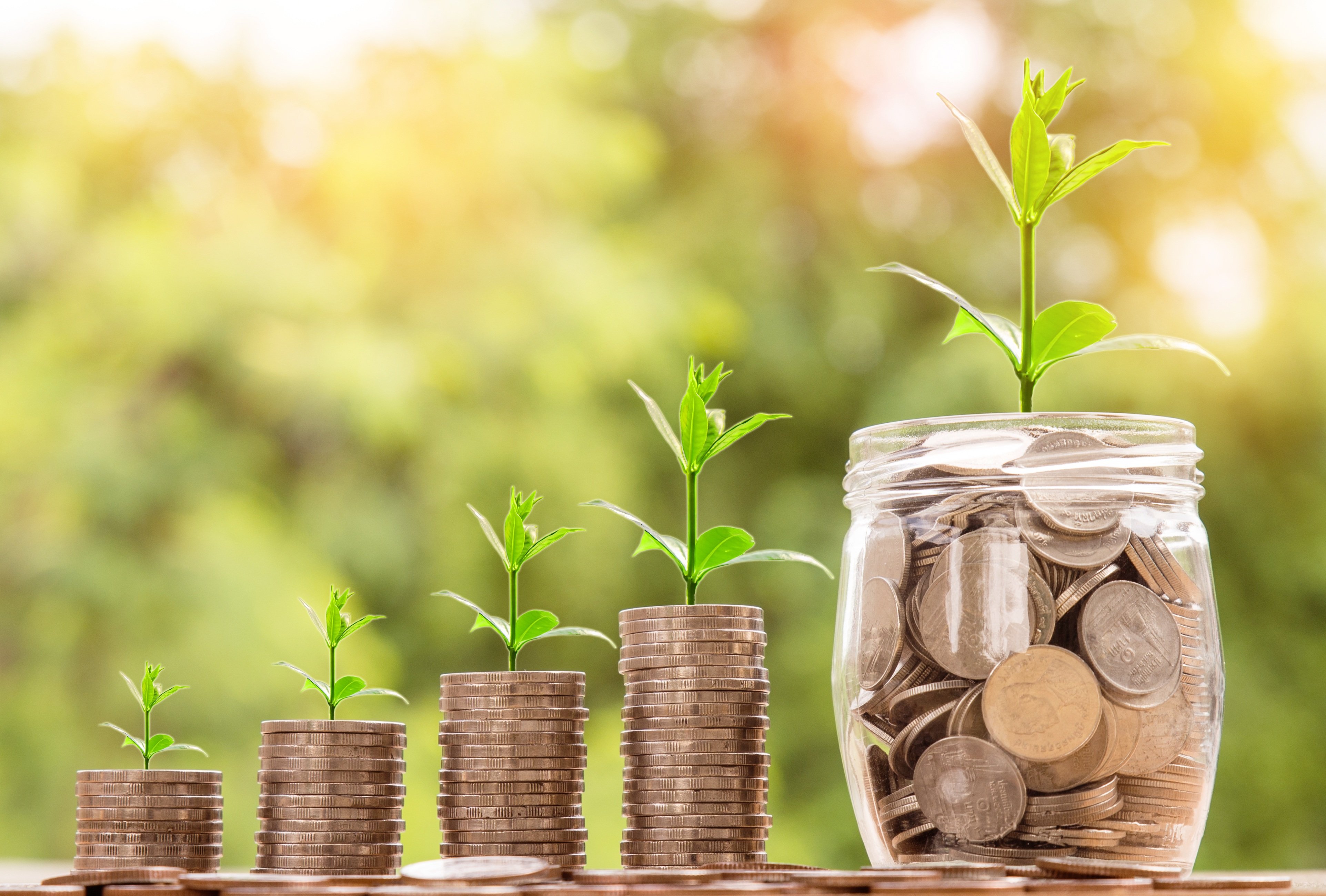 Tu futuro financiero comienza aquí